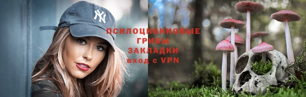 не бодяженный Дмитровск