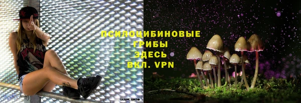не бодяженный Дмитровск