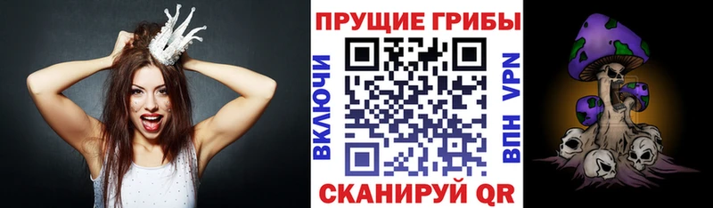 Псилоцибиновые грибы мицелий  Купить  Топки 